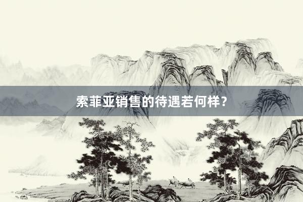 索菲亚销售的待遇若何样？